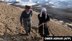 دو تن از دهقانان در حال کار روی زمین زراعتی در ولایت بدخشان 