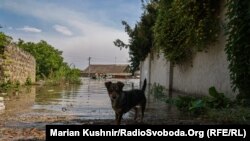 Сторони домовились, що підрозділи ООН вирушать до уражених зон в окупації, щойно Росія надасть доступ та гарантії безпеки