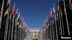 د ملګرو ملتونو د بشري حقونو شورا 