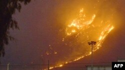 Палермо шаарынын жанындагы токойлорду каптаган өрт. ANSA агенттигинин сүрөтү. 25-июль, 2023-жыл.