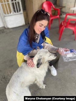 Дівчина доглядає за безпритульними тваринами