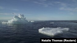 илустрација