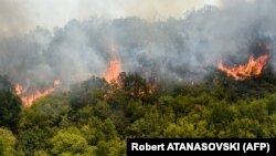 Fotografija prikazuje šumski požar, pored vojnog poligona Krivolak, u blizini grada Negotina, 17. jula 2024. godine, dok je nekoliko šumskih požara besnilo Severnom Makedonijom