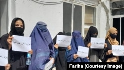 حدود بیست تن از زنان در این گردهمایی اعتراضی اشتراک کرده بودند