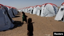 خیمه های زلزله زدگان در ولایت هرات