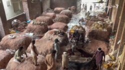 پاکستان کې د څرمنو نرخونه ولې ټیټ شوي دي؟