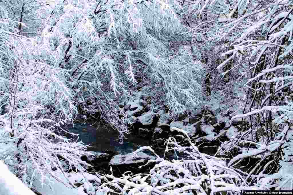 Токтогул паркындагы кышкы жомок. Сүрөттөрдүн баары Азамат Алыкуловдуку.&nbsp;