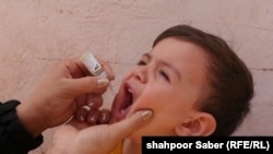 ارشیف: په هرات کې یوه ماشوم ته د پولیو ضد واکسین تطبیقېږي.