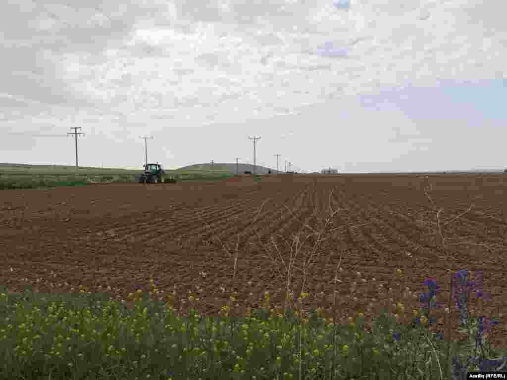 Авыл халкы бодай, арпа, шикәр чөгендере, ясмык, фасоль, көнбагыш, кукуруз үстерә.