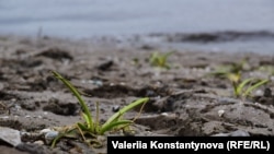 Запоріжжя - обмеління річки Дніпро у Запоріжжі через кататсрофу на Каховській ГЕС