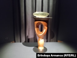 Peștele, lucrare în bronz creată în 1926 și deținută de Tate Modern Museum, poate fi văzută acum la Timișoara.