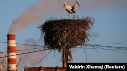 Par roda u neposrednoj blizini termoelektrane na ugalj, Obilić, Kosovo, april 2023. 