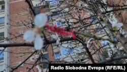 Март во Скопје