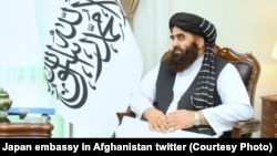 امیرخان متقی سردرست وزارت خارجه حکومت طالبان و برخی از دیگر از مقامات طالبان با هیئت سازمان همکاری اسلامی دیدار کرده و از هیئت خواسته اند تا شرایط افغانستان را درک کنند.