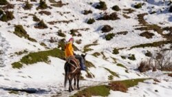 'Bez Kosova bi umrli': Albansko selo Borje zavisi od pomoći sa druge strane granice