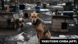 Иллюстративное фото