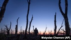 Украинские военнослужащие идут по обугленному лесу на линии фронта в нескольких километрах от Андреевки, Донецкая область. Украина, 16 сентября 2023 года