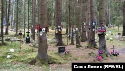 Памятные знаки на деревьях. Левашовская пустошь