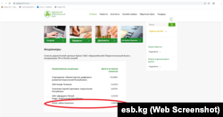 Доля ОсОО «Айти Капитал» в ОАО «Евразийский сберегательный банк».