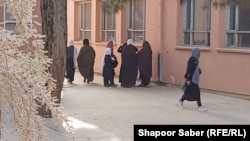 یکی از مکاتب دخترانه در هرات 