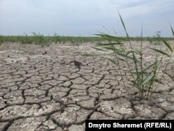 Висохле Каховське водосховище у Запорізькій області