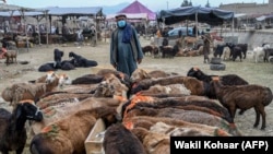 انځور له ارشیف څخه 