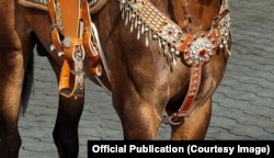 Un detaliu al fotografiei din aprilie 2023.