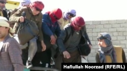 بر اساس گزارش مقامات محلی طالبان در ولایت نیمروز٬ به طور اوسط هر روز دوهزار مهاجر افغان مجبور می شوند به وطن برگردند و یا هم اخراج میشوند