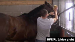 Зазу говр йу Чехерчу божал чохь, 2012 шо