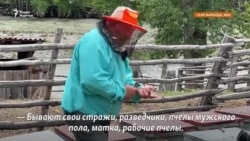 Допросы, обыски, аресты. Борьба жителей Маралды против золотодобывающей фабрики