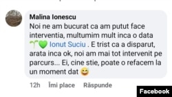 Una dintre artiste a reacționat, cu un comentariu, la știrea despre restilizarea fântânii.