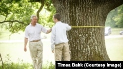 În iunie 2015, regele Charles, pe atunci prinț de Wales, măsura primul copac secular înregistrat pe platforma arboriremarcabili.ro, care a fost inaugurată cu această ocazie. Copacul se află lângă Micșoșoara, în județul Covasna.