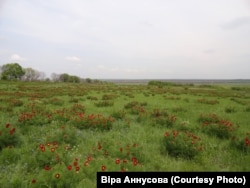 У рідних краях Віри Аннусової