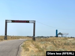 Чегирткеден жабыр тарткан Байтогай айылы. Арыс шаары, Түркестан облусу. 11-июнь, 2024-жыл.