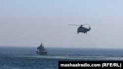 د مارچ پر اوومه ژغورونکي په ورکو کب نیوونکو پسې ګرځي.