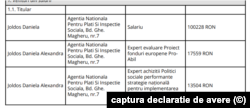 Daniela Joldoș este director general adjunct la ANPIS și, pe lângă salariul de bază, primește bani și ca expert în aceeași instituție. Captură din declarația de avere oficială.