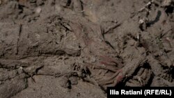 შოვი, სტიქიის ეპიცენტრი, 5 აგვისტო