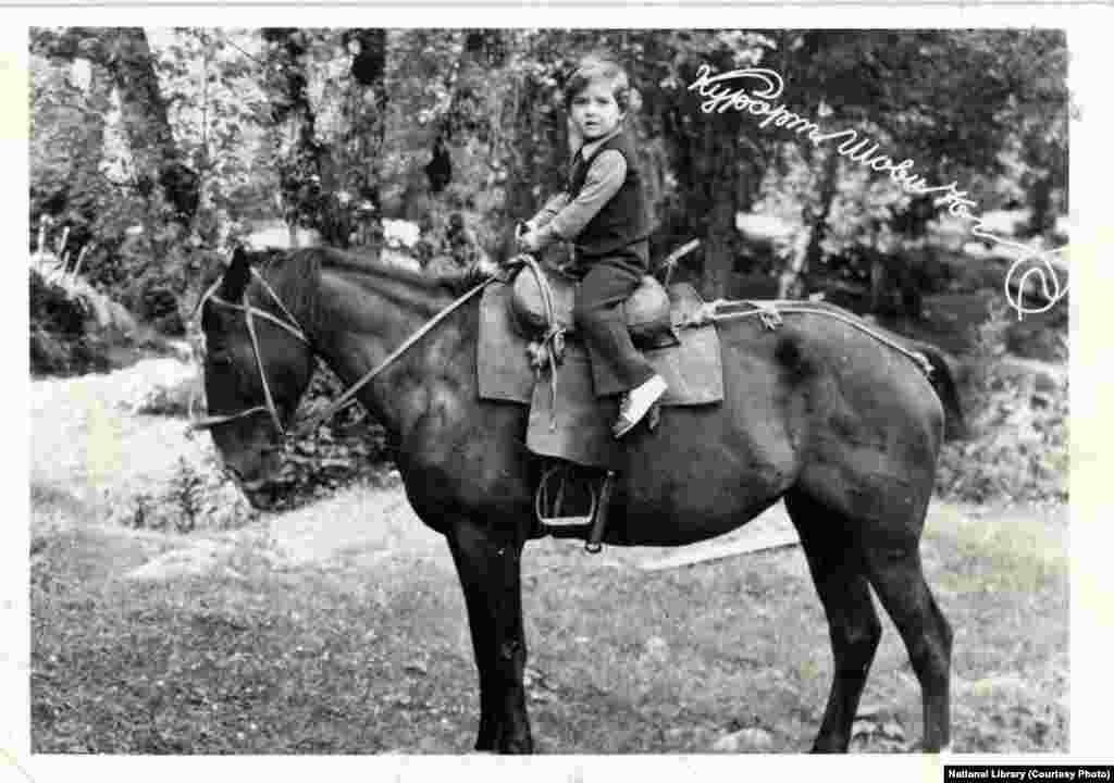 ზოგი ნამდვილ ცხენსაც შოულობდა.