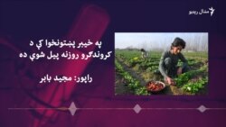 خیبر پښتونخوا کې د امریکا او ملګرو ملتونو په مالي مرسته د کروندګرو روزنیز مرکزونه فعال شوي