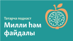 Хәрәкәт һәм чама