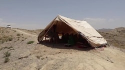 پښين: د نړېدلې ښوونځي ماشومان له ۳ کلونو په خېمه کې درس وايي