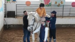 Terapia cu cai, un leac pentru copiii cu nevoi speciale