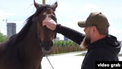 Нохчийчоьнан куьйгалхо Кадыров Рамзан а, Зазу говр а Соьлжа-ГIалахь. Кадыровн телеграм-каналерчу видеон скриншот