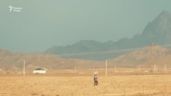 Камобӣ дар Осиёи Марказӣ теъдоди муҳоҷиронро зиёд кардааст
