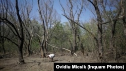 Un loc din județul Tulcea unde au fost descoperite resturile unei drone rusești. Fotografie de arhivă