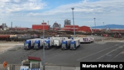 Unul din patru copaci, care sunt tăiați din fondul forestier pentru a fi folosiți în industrie, ajunge la Sebeș, Alba. 