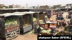 لاری های مملو از تربوز که تازه از ولایت فراه به هرات رسیده اند