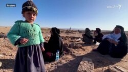 هرات کې بیا زلزله شوې، اغېزمن خلک وايي له لوی درده تېرېږي