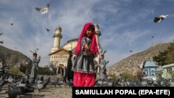 تصویر آرشیف در افغانستان 