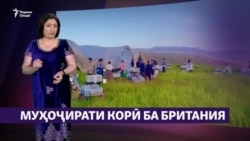 Таджикистанец в Великобритании: "Разница с условиями труда в России и Англии огромная"
